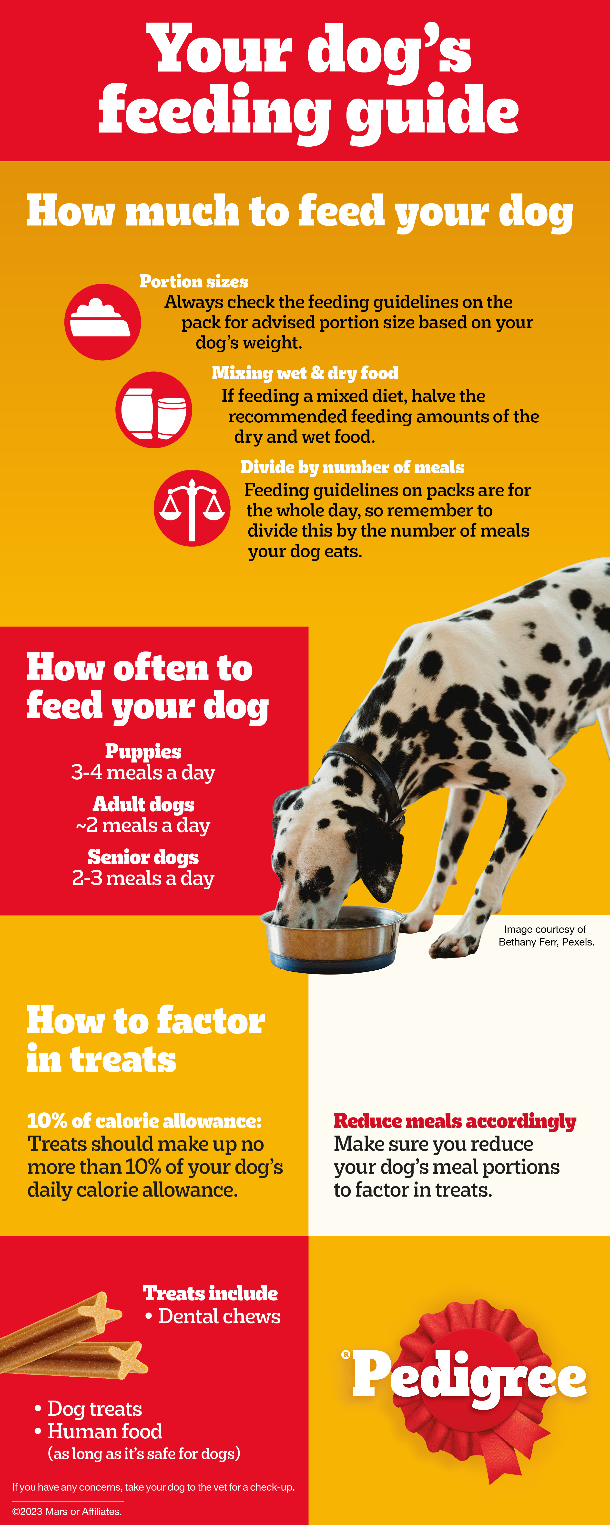 How many times a day should you feed your puppy store